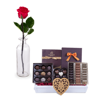 Cestas De Chocolate Para Regalar A Domicilio - FloraQueen