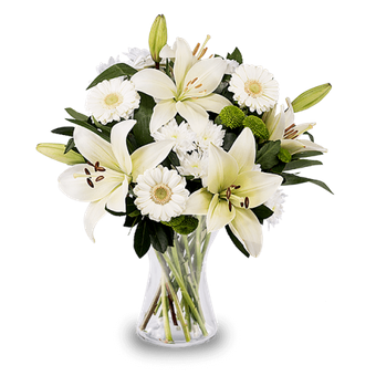 Shining Smile: White Lilies and Gerberas