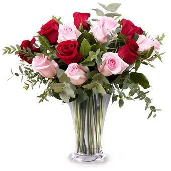Affectionate Smile: Pink and Red Roses
