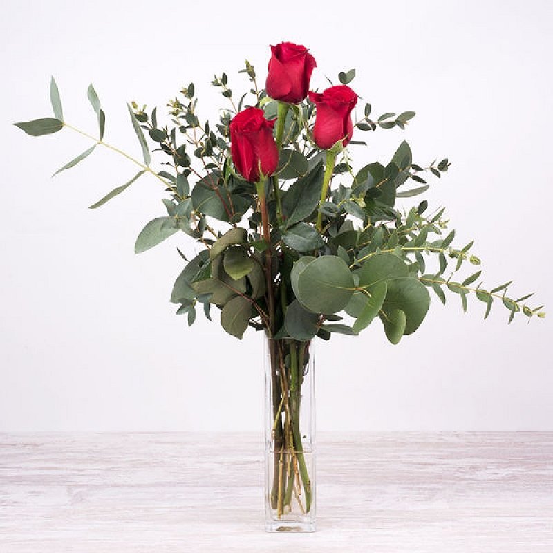 Penélope: 3 Rosas Rojas