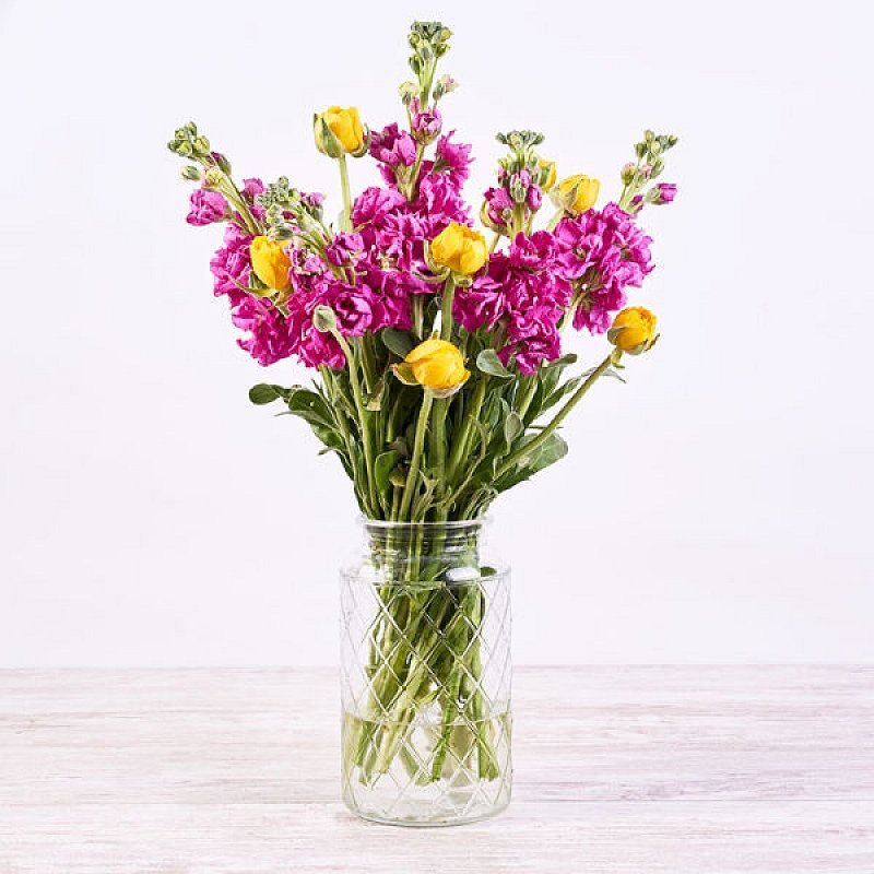 Sol de primavera - violé rosa y ranúnculo