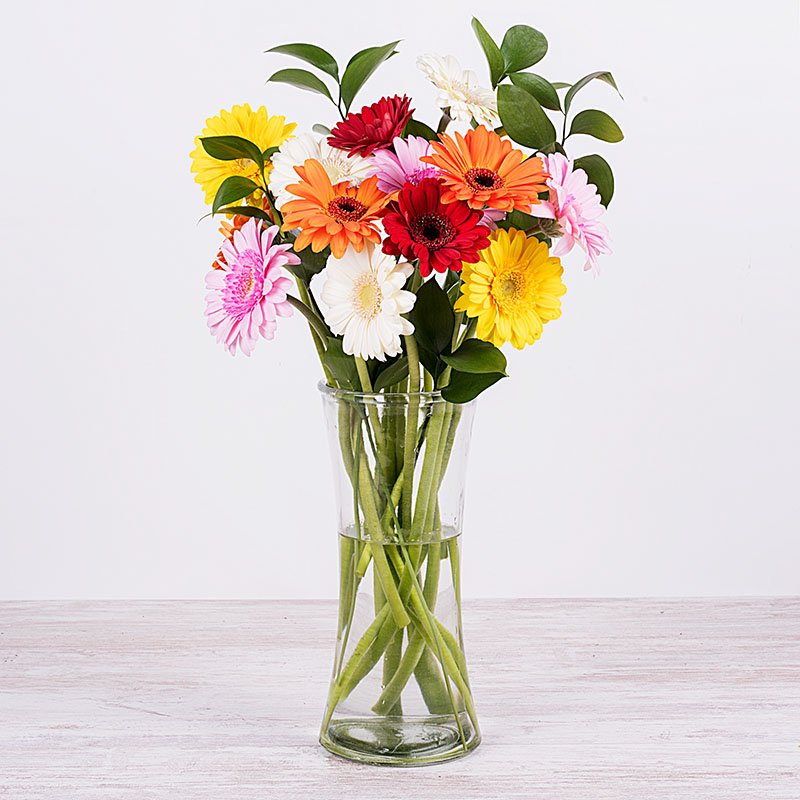 Felicidad: gerberas multicolor