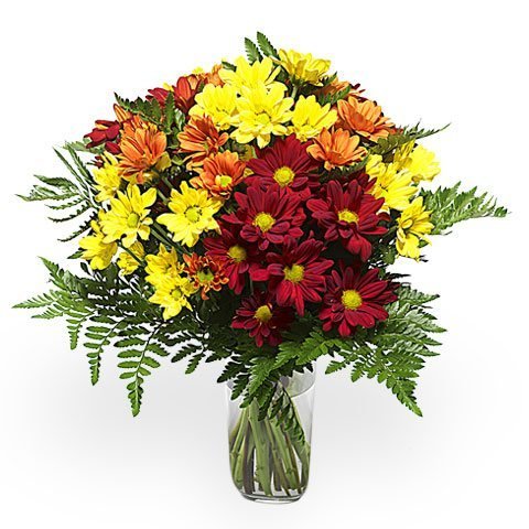 Goldener Blumenstrauß: farbige Chrysanthemen