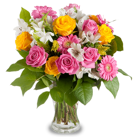 Sensaciones Vibrantes: Rosas Amarillas y Rosas