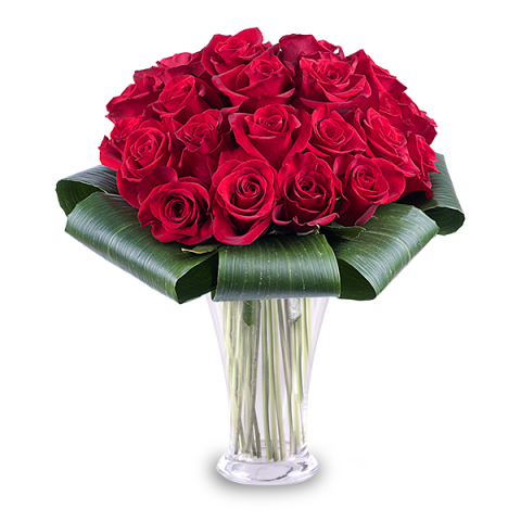 Liebeshingabe: 25 Rote Rosen