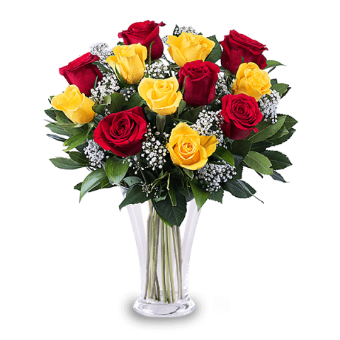 Flamenco: 12 Yellow and Red Roses