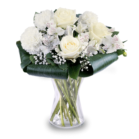 Dove Wings: Carnations and Roses