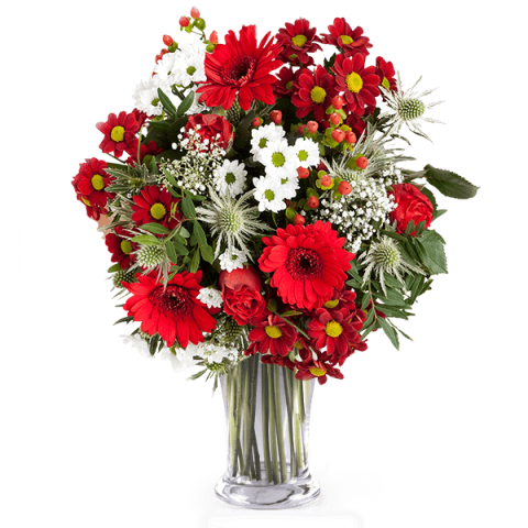 Erdbeerfelder: Rosen und wilde Blumen