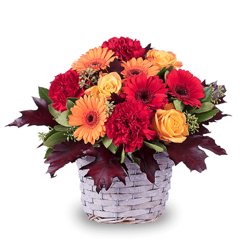 Autumn Basket: Gerberas and Carnations