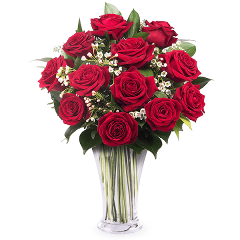 Taste of Love: 15 Red Roses
