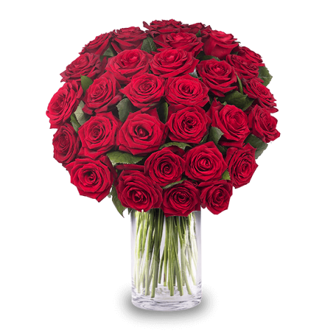 Liebestrunken: 30 Rote Rosen