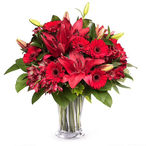 Red Carpet: Gerberas and Lilies