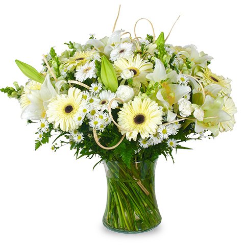 Elegancia Blanca: lirios y gerberas blancas