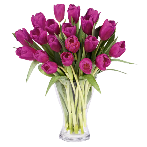 Frische Inspiration: 20 Lila Tulpen