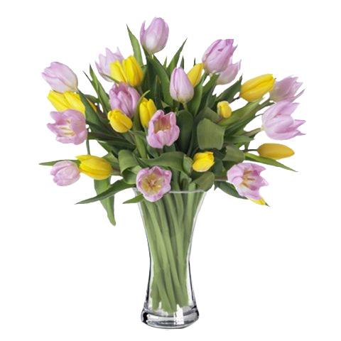 Frühlingsfest: Pinke und Gelbe Tulpen