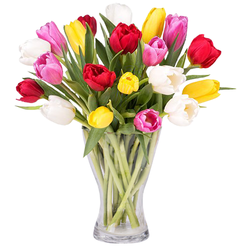 Bunter Frühling: 30 Gemischte Tulpen