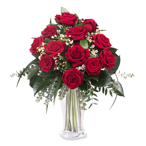 Elegant Smile: 12 Red Roses