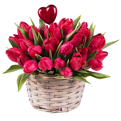 Frühjahrskuss: Rote Tulpen