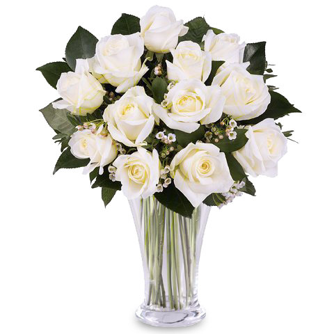 Un Toque de Clase: 12 Rosas Blancas