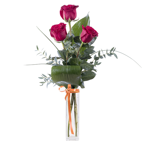 Sant Jordi clásico: Tres rosas rojas y espiga