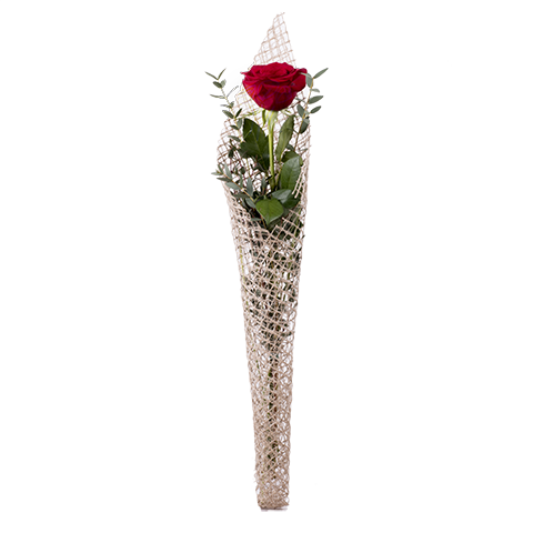 Rosa roja con red de rafia