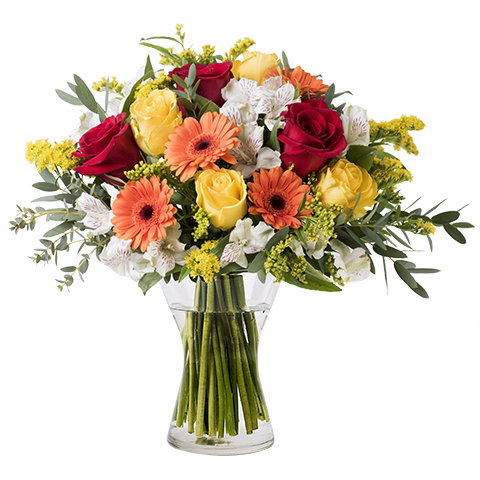 Floral Energy: Mixed Orange Flowers