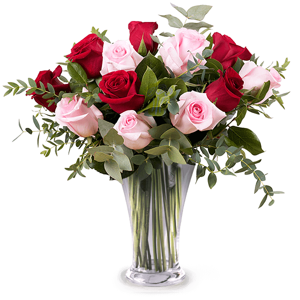 Love Actually: Rose Rosa e Rosse