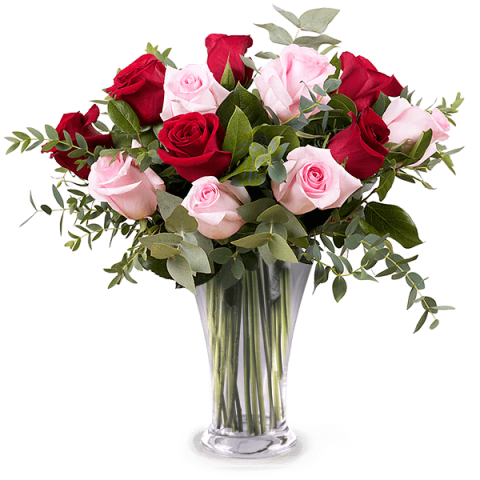 Tatsächlich Liebe: Pinke und Rote Rosen