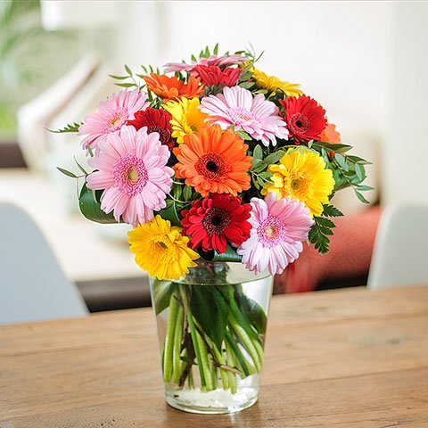 Mixed Gerbera Bouquet - Gerbera Flowers Delivered - FloraQueen