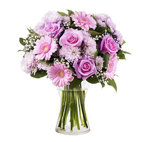 Buon inizio: Rose e Gerbere