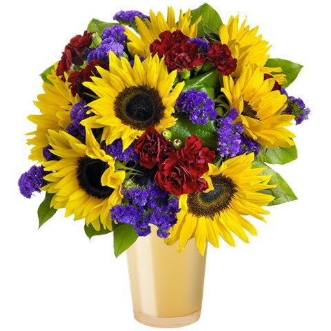 Farbenhauch: Sonnenblumen und Nelken