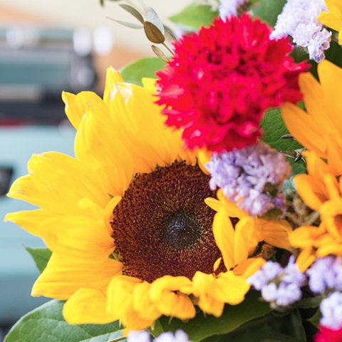 Farbenhauch: Sonnenblumen und Nelken