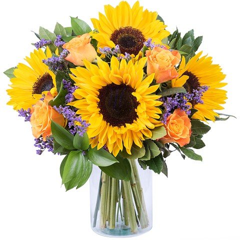 Sogno di Van Gogh: Girasoli e Limonium