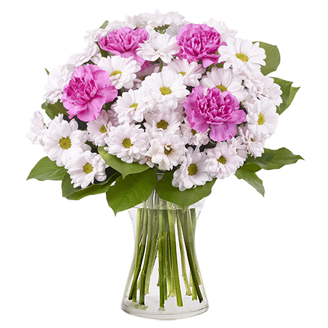 carnations pink bouquet chrysanthemum carnation