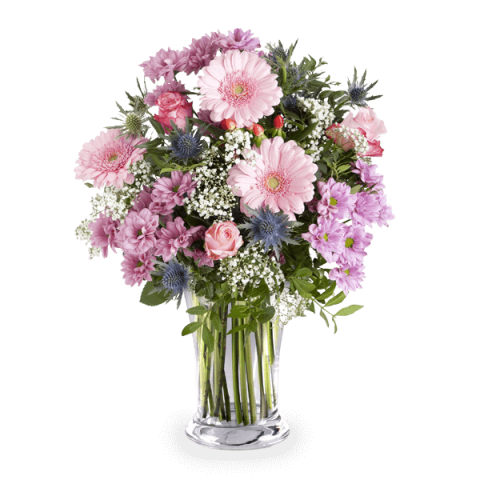 Pinker Zauber Rosen Und Gerbera Floraqueen