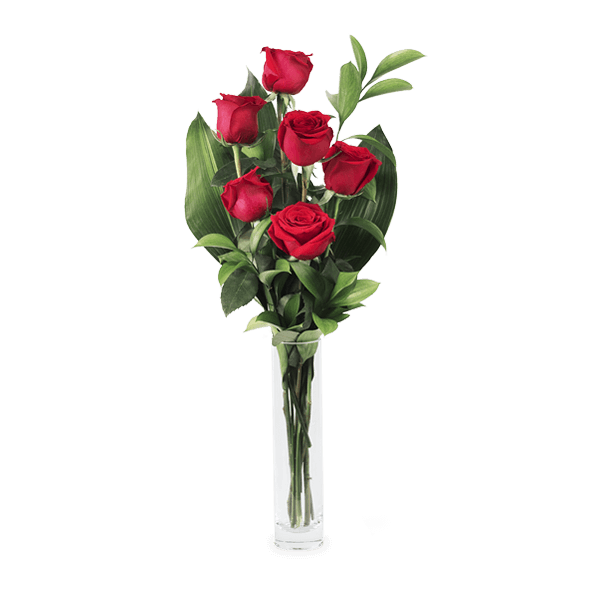 Amour Hypnotique : 6 Roses Rouges