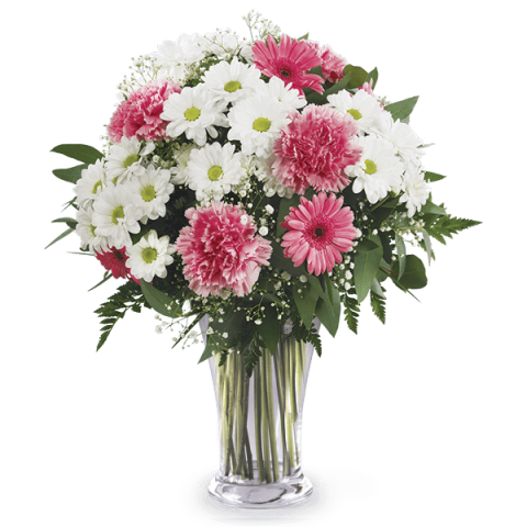 Cotton Candy: Gerberas and Carnations