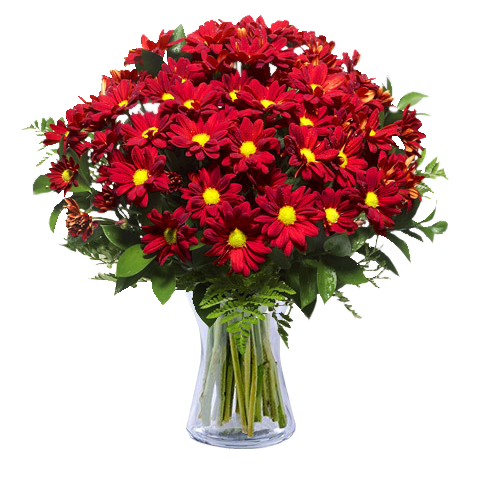 Red Chrysanthemums Bouquet - International Delivery - FloraQueen