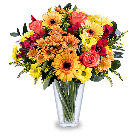Mango: Orange Roses and Gerberas