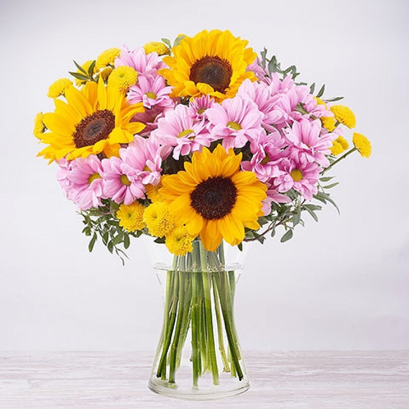 Atardecer: girasoles y crisantemos
