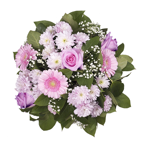 Todo al rosa: Gerberas y Moët
