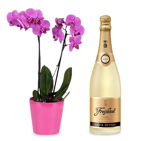 Sparkling Celebration: Orchid and Cava